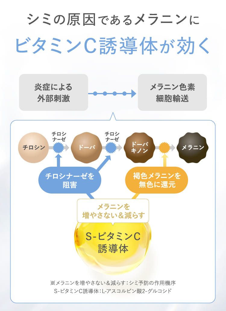 シミの原因であるメラニンにビタミンC誘導体が効く
