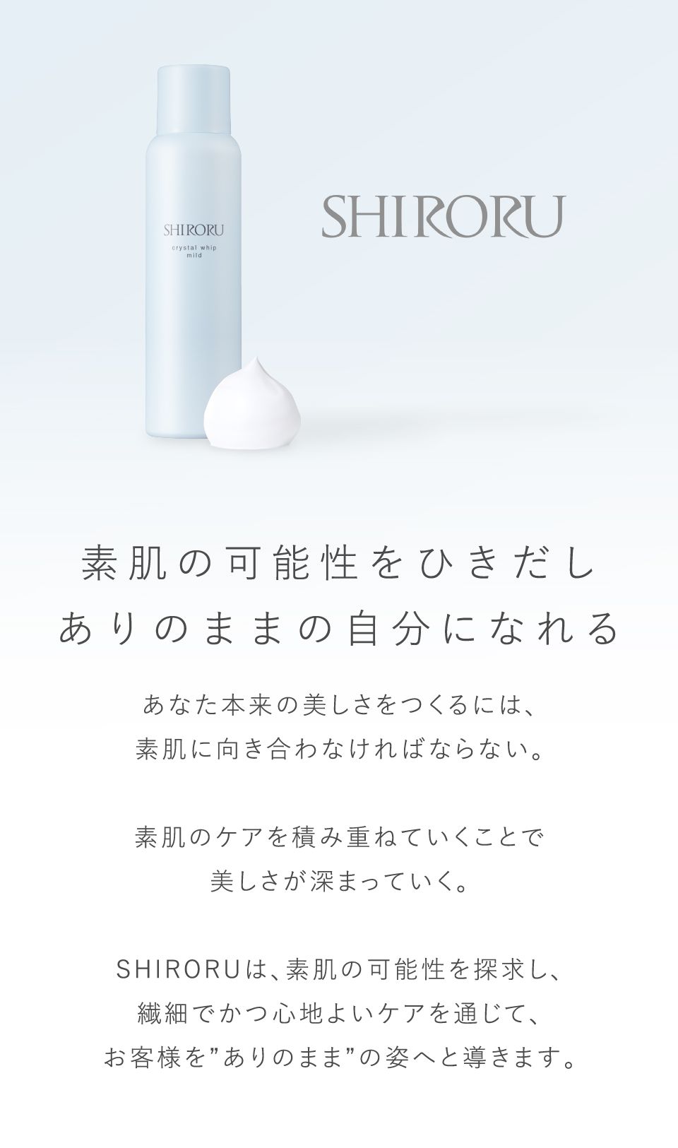 新品 SHIRORU crystal whip 6本セット SHIRORU クリスタルホイップブラック 6本セット - メルカリ