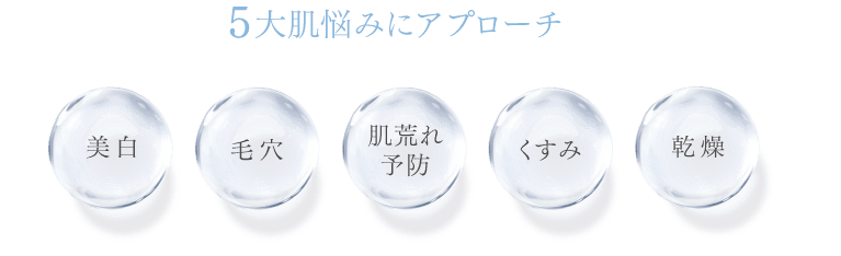 図：5大悩みにアプローチ
